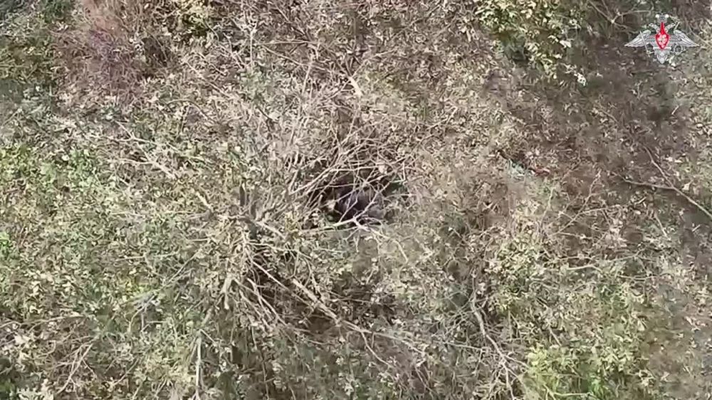 ������� ���� ��������������� ��������-���������� ���������� ���������� ������ ������ � ������� ��� �� ����������� �����������