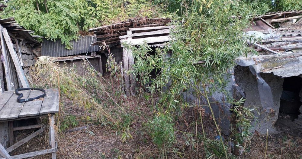 ������� ������� �� ���������� ������� ����������� ������� � ���������� ������