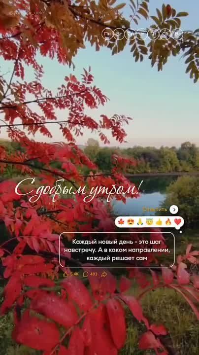 ������ ����, �����������!. �������� ���! �������, ���, ����� ����� �������� ������� ����� ����������� �� ���������...