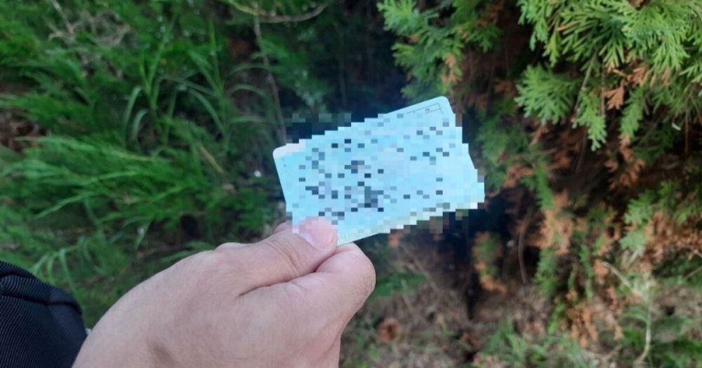 �������� � ����������� ����������� ��������� � ���������