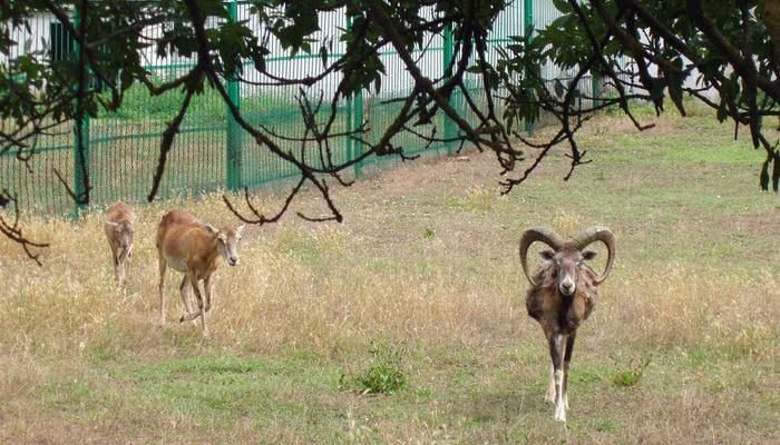 ������������ �������� �� ����������� ��������-���� �� ���������