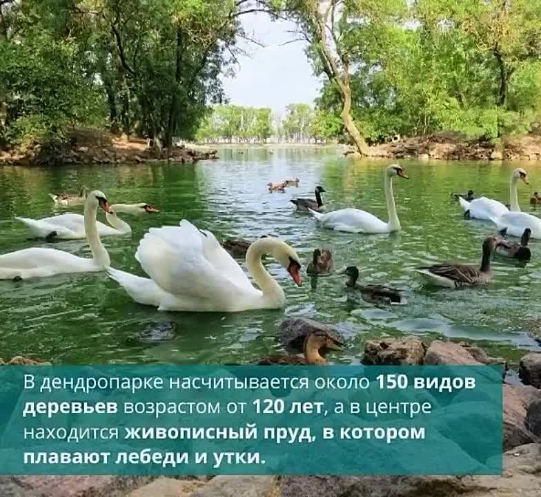 ���� �� ����� �������� ���� ���������� ������� - ���������� ���������� "�������-����"