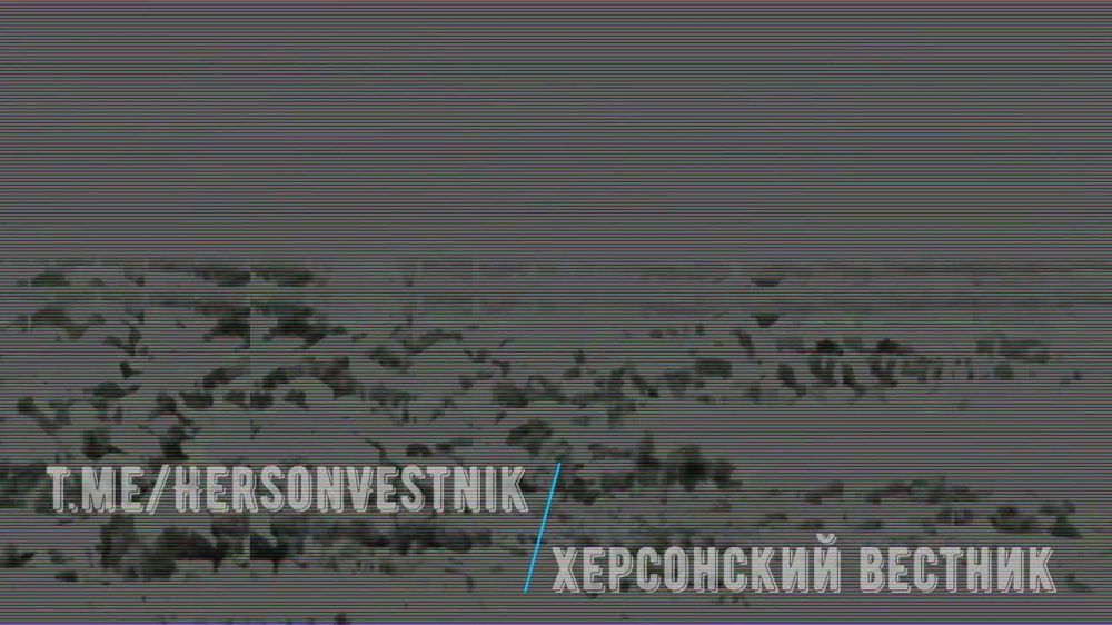 ����� ����������� ������ ������� ���������� �� �������� ��� � ������ ���������