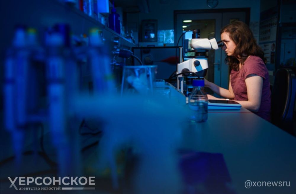 ������-����������������� �������� ���� ���������� ���������� ������� �� ��������-������ ��������