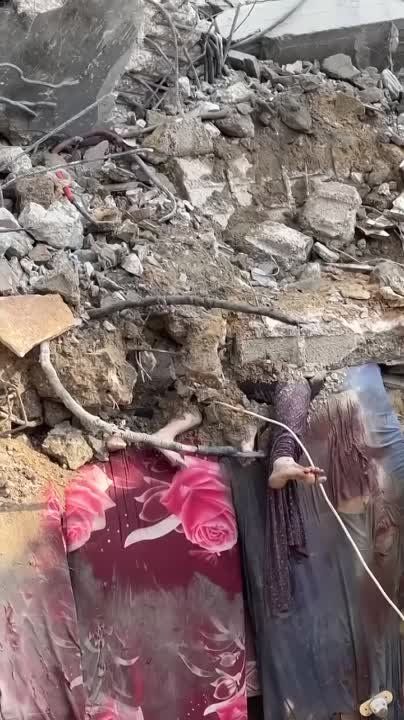 �������� ����� �� ������� ����