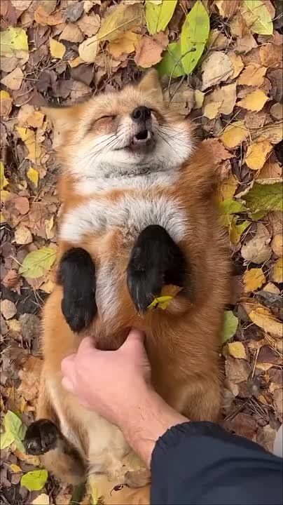 ������ ����. ������� ��������� ������ ����� � +12�+19� � ����� 4�6 �/�