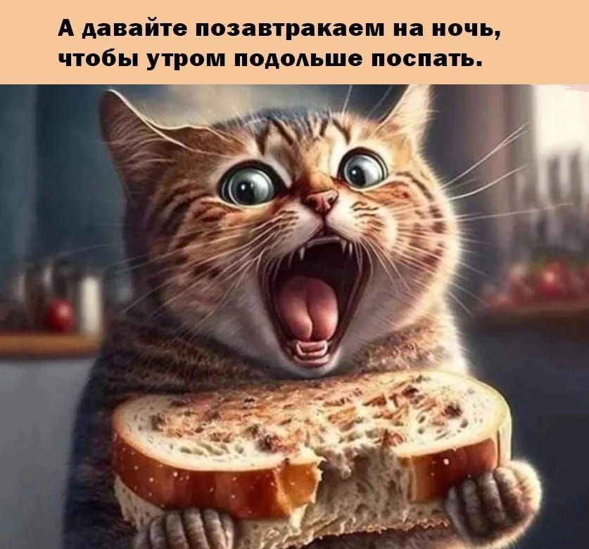 ������� � "����������" ��������� �������� �������