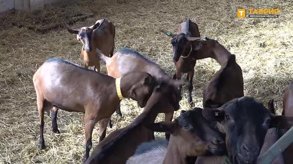 ��������������� �������������������� ����������� "����������" ���������� ���� ��������� �� ������������� �������� "������"