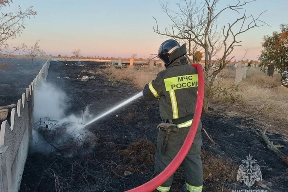 � ���������� ������� 24 ������� ��������� ����� �������