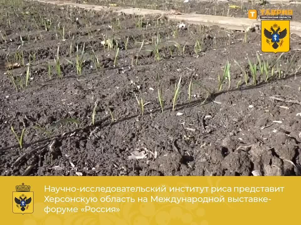 ������-����������������� �������� ���� ���������� ���������� ������� �� ������������� ��������-������ ��������