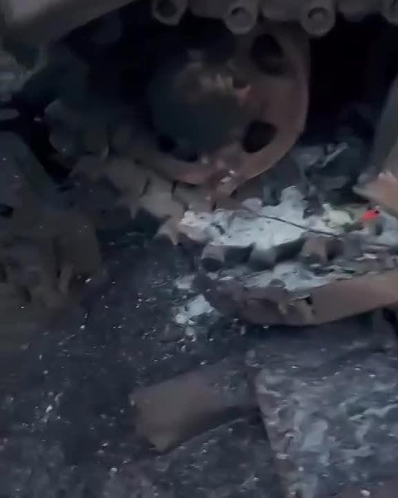 ������ ������ ���� ���� ��������� ���� ��� ��������..