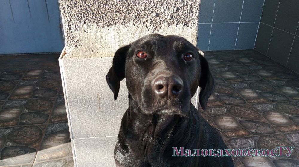 � ������ �����, �����������!