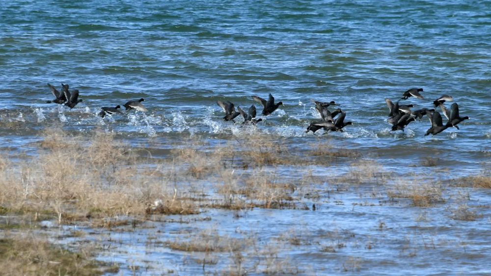 ��� �� �� ��������� ��� ���������� �� �������� ����