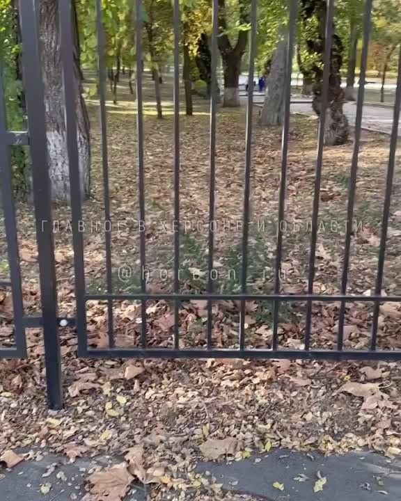 ����������� ������ � ��������� ���� � ������ ��������� ��� ������� ���������� ������