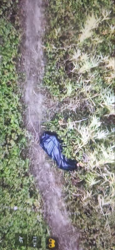 ��� ������: ���������� �������. ������, ���� ����� � ���������� ������� ������������ �/� ����� ��������� �����