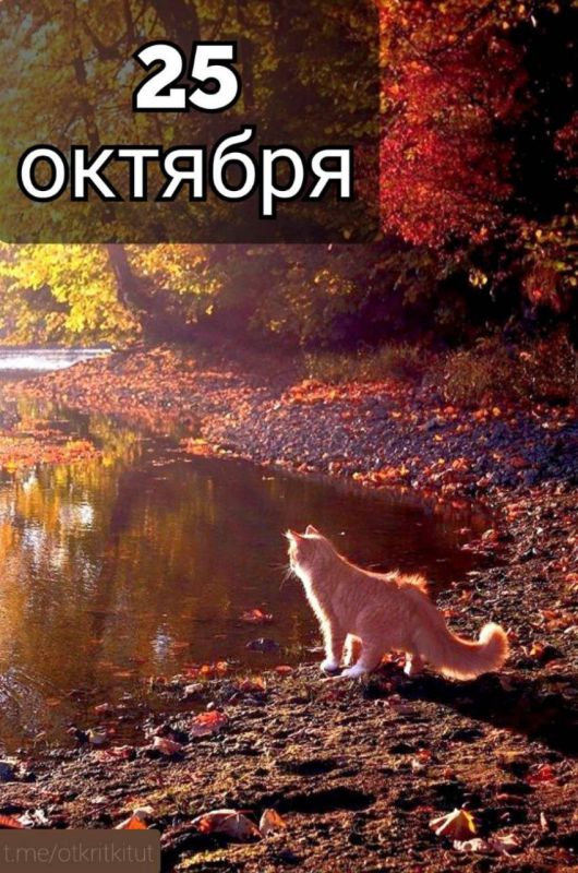 ��������� 25 �������. ���� ��������� ��������� ��������������