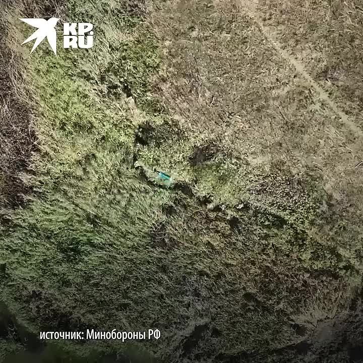 ���������� � ���� ��� �� ���������� ����������� �� 25 �������: ������� ��� ���������� ������ ������