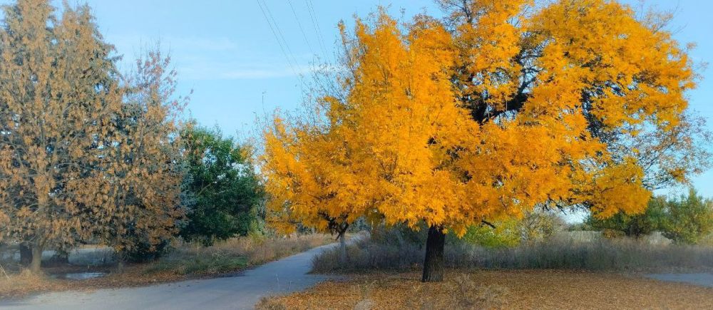 ������� ����� � ������������-���������� ��