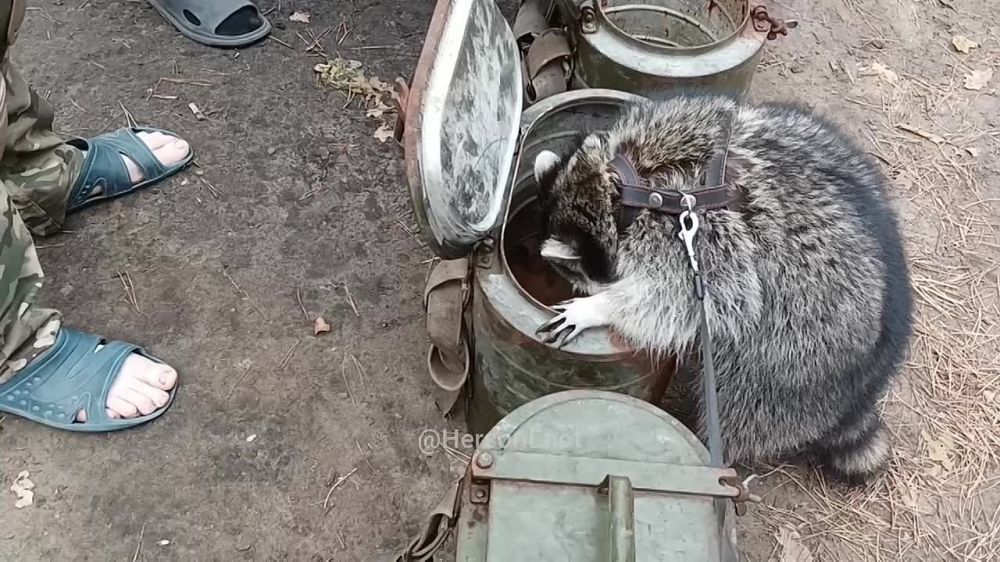 ���� �� �������: ������, ���� �������� ���! ������� �� ������ ������������? � ������ �� ����� ������? � �������, ��� @HersonEnot