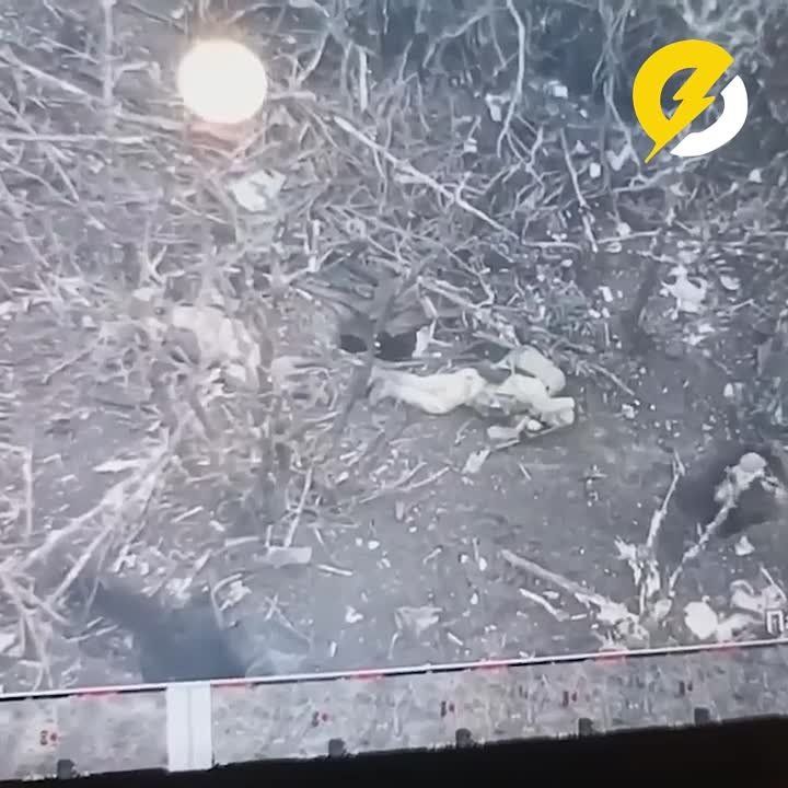 ���������� ������ ������� ��������, ������� ������������� �� �����