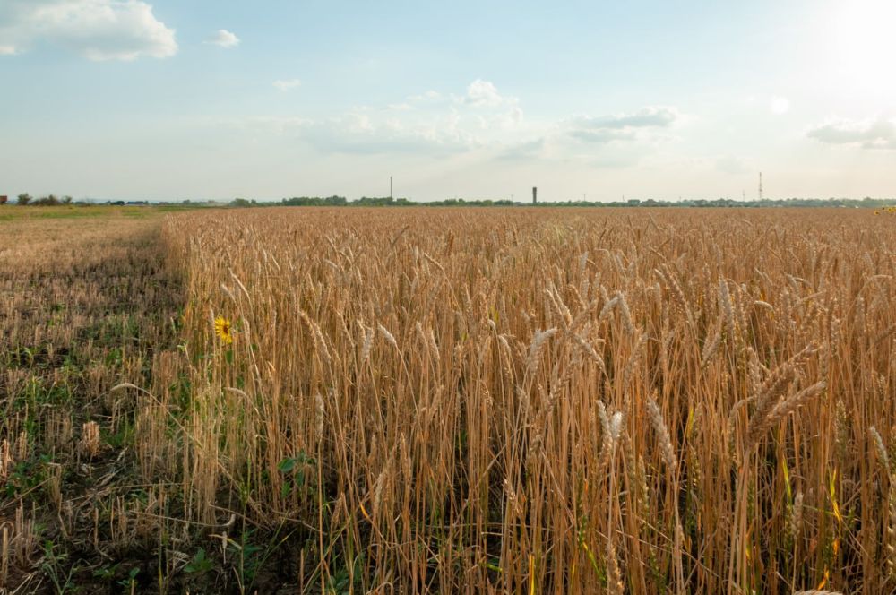 ������ ���������� ����� ����� ��������: �� ���������� ������� ����� 380 ����� �������� ������ �������