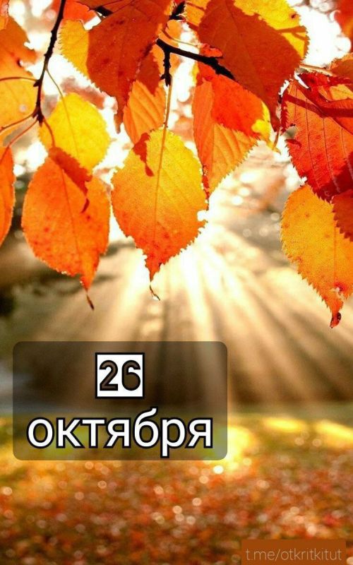 ��������� 26 �������. ������������� ���� ��� ������