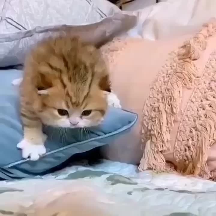 ���� ������ ���� � ���������� �������������� �������� ���? ������� ������������ �������� ������ �� ������