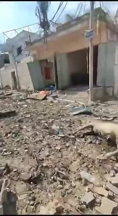 ��� ������ �������� ����� ���-���� �� ��� ������� ����