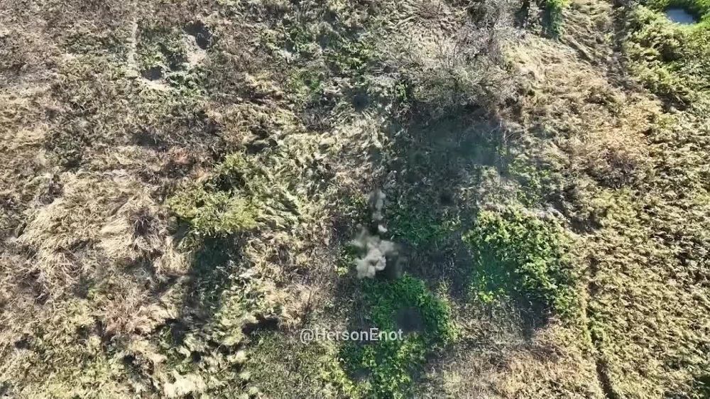 ���� �� �������: ������� ������������ �������� ������ ���������� ������������ ��������