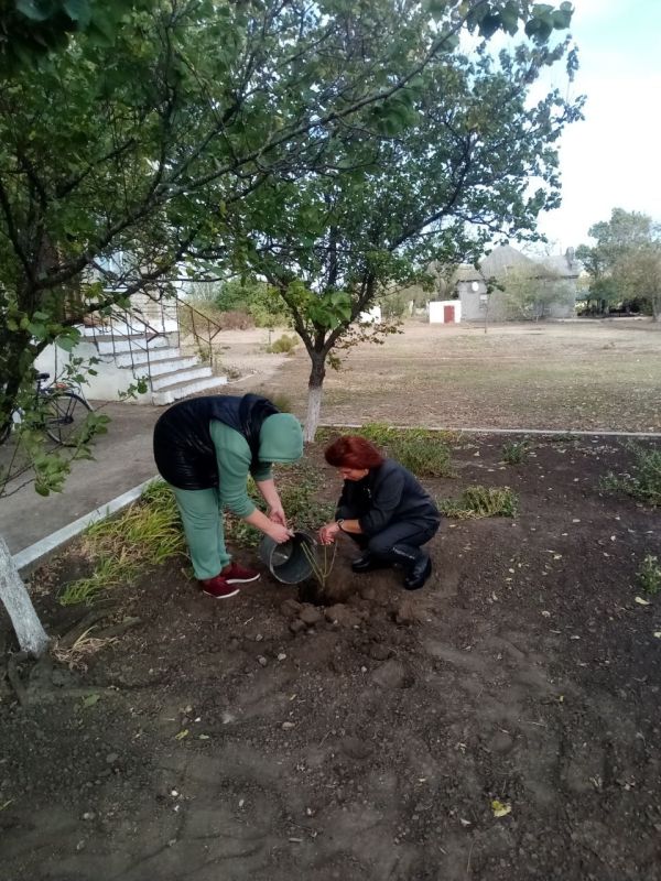 � ���������� ������ ���� ������ �� ���������� ���������