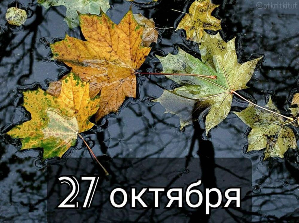 ��������� 27 �������. ��������� ���� ���������������� �������� ������������� ���� ��������� ����� ���� ������� �������...