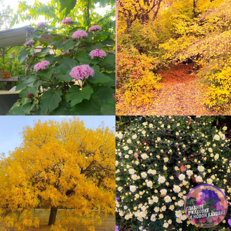 ������ ���� ������ �������� ����������� �������������