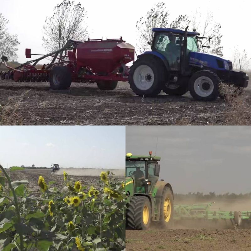 �� ����������� ���� �� ���������� ������� 85% �������� � ������ ����������