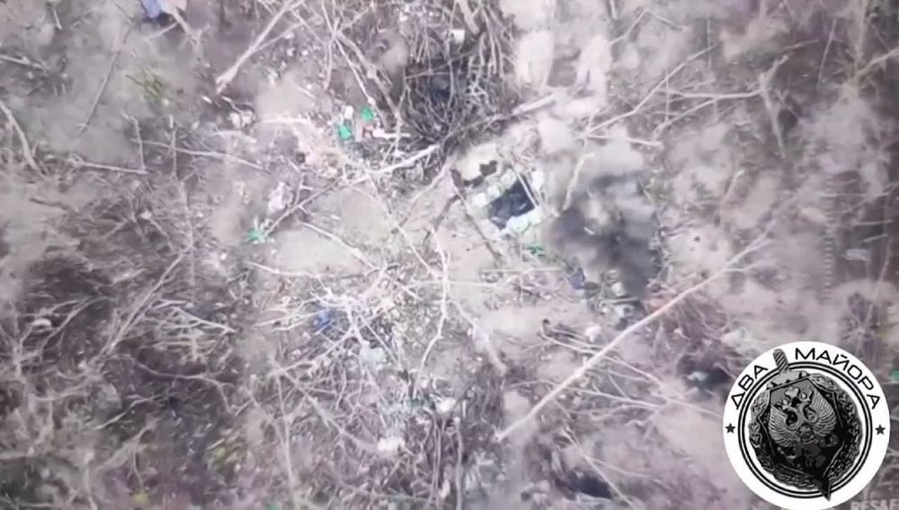 ��� ������: ���������� �����������. �������������� ���������� ���������� � ����� �������, ����� ��������, ����� �� �������...