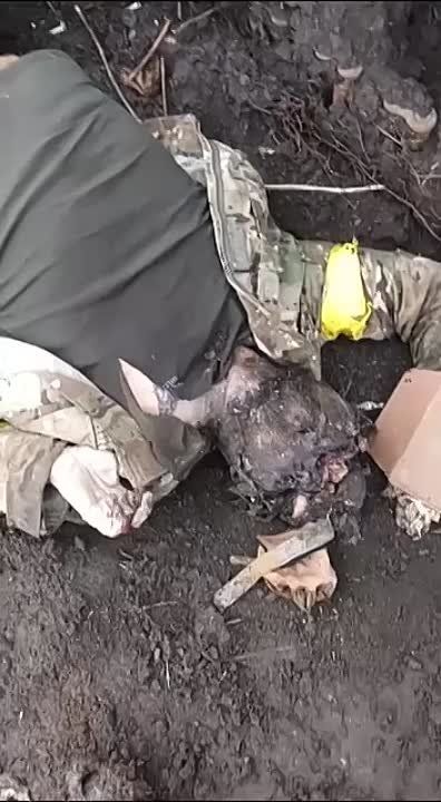 ����������� ��������� ����� ��� �� ���������� �����������