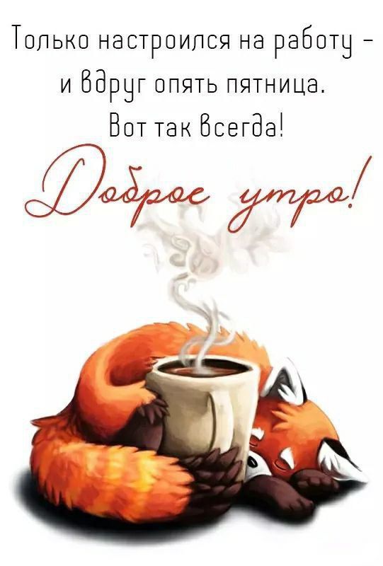 � ������ �����, �����������!