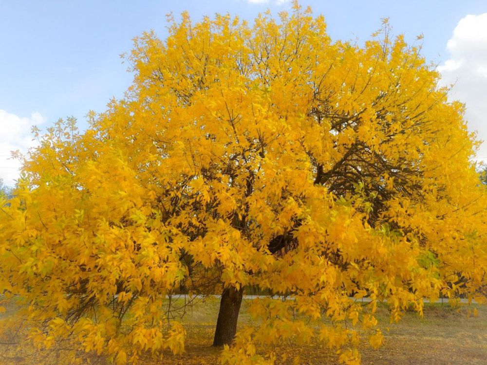 ����������� ������� ������ � ���������� ��. ����� - ������������ ����� ����, ����� � ������� ���������� ������ ������� �����, � ������� ������������� ������ ����������� �������