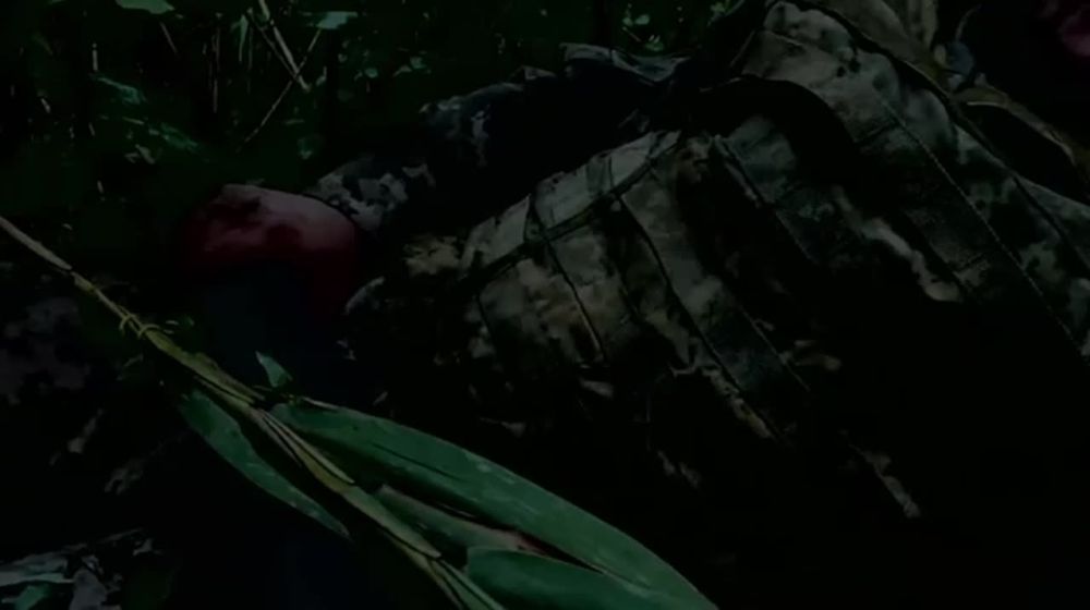 ������� ��� �������� ����������� � ������������ ����������