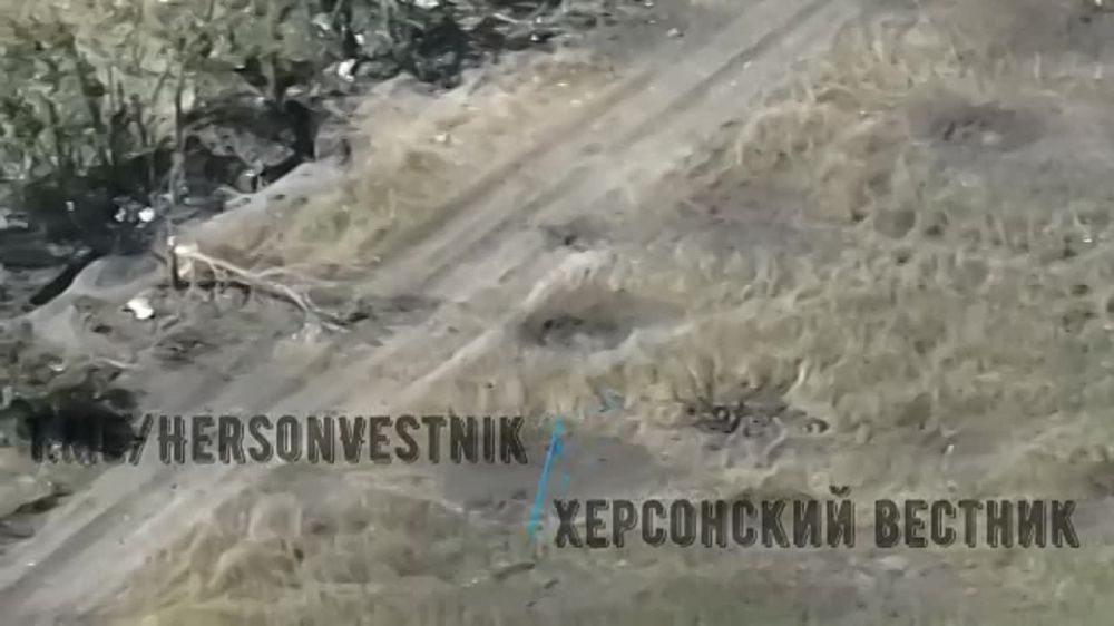 �� �������� �������������� ����������� ���������� �������, ������������ ����������� ����� ������ ���� ������� ������� �������� ���