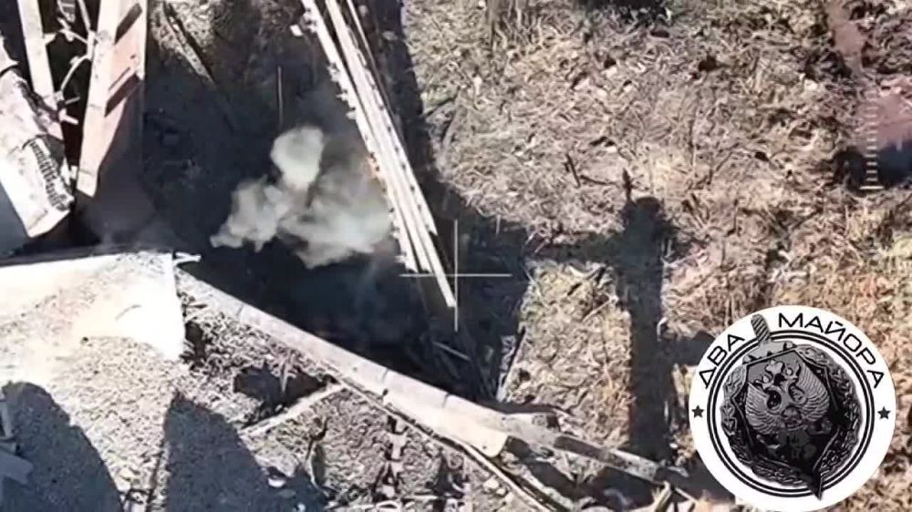 ��� ������: ���������� �������, ����� �/� �����, ��� �����