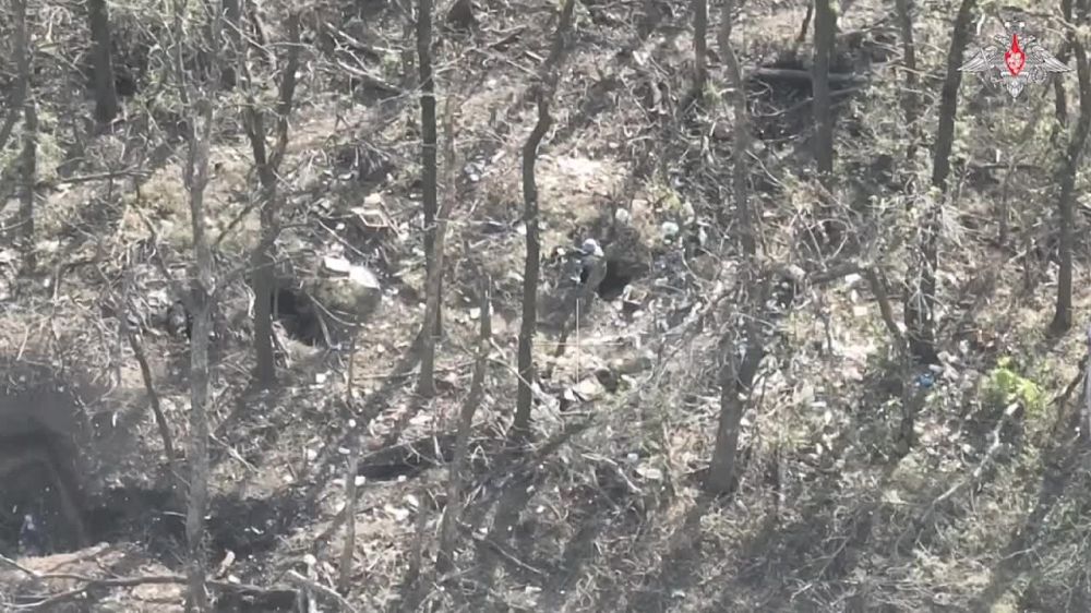 �� �������� ����� ������������ ������ ���������� ��������� �������� ��������� ����� ���� � ������� ������� ��� � 117-�� ������� � ���� ���������� ���