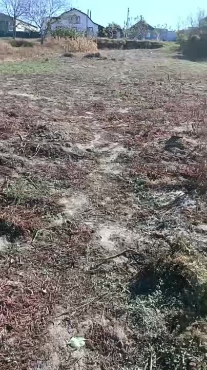 ������ ��������: ���. ������������, ���������� �������, �� 40 �������� ������ �� ������� �����