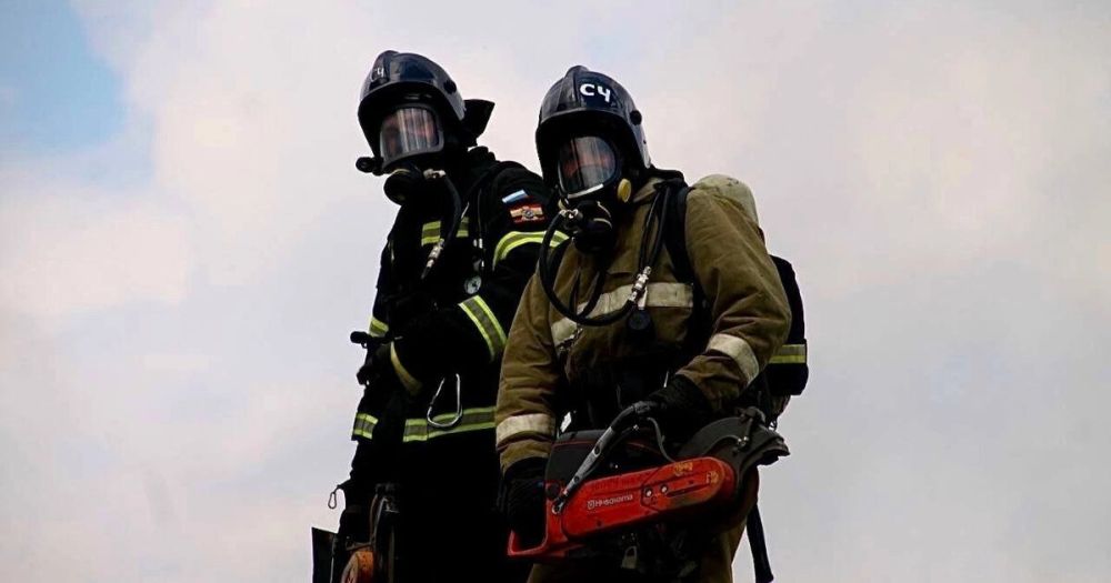 ���������� ��������� ������������� ���� ������� �� �����