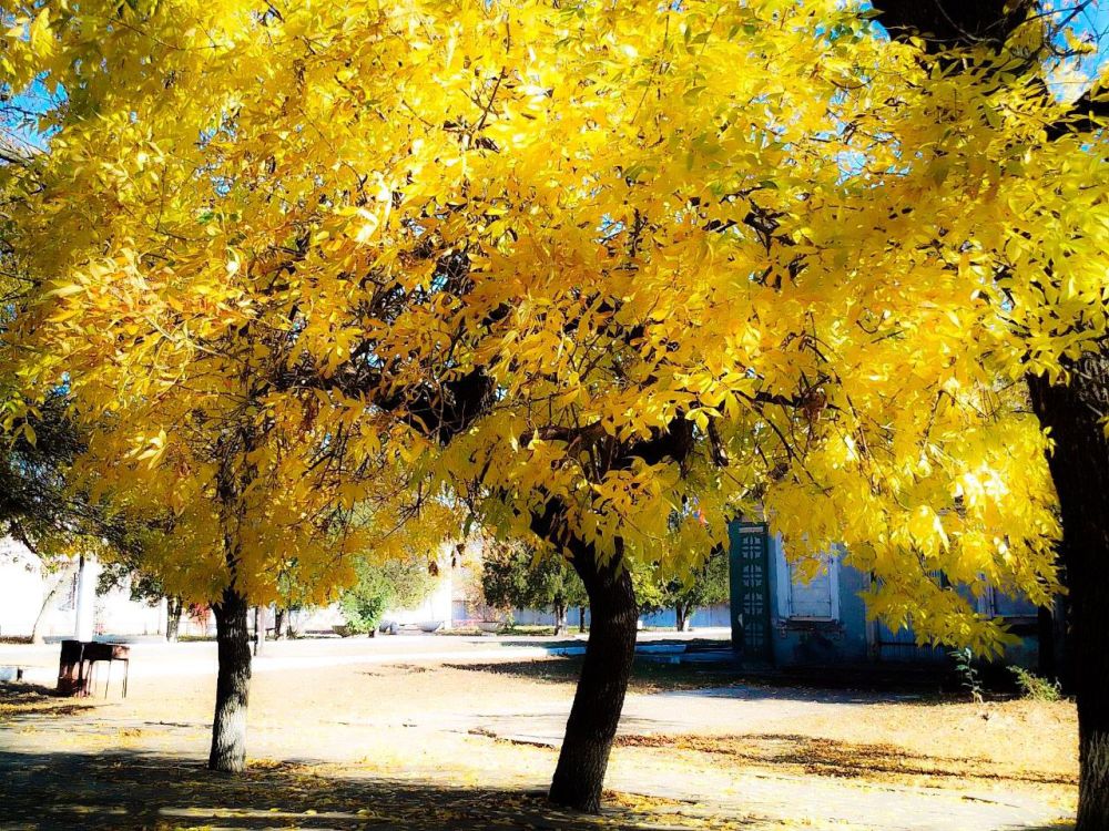 ������������ ����� ����� � ������������� ������ ������� �� ������������ ��