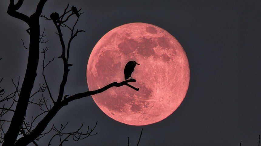 "��������" ���� ������� ��� ���������� �������� 28 �������