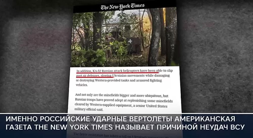 28 ������� - ���� ��������� �������