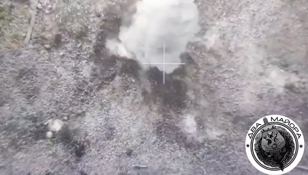 ��� ������: ���������� �������, �/� ����