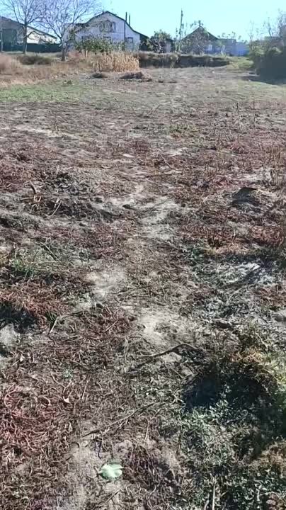 ����� ����� �� ��������� ����� �� ������: ��� ������� ��� ������ � ������� ��� ������� ������������