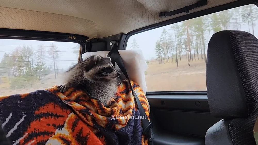 ���� �� �������: �����. ������, ��� ����� �� ���������, ��� ������ � ����� ������ ���� �������� ������������