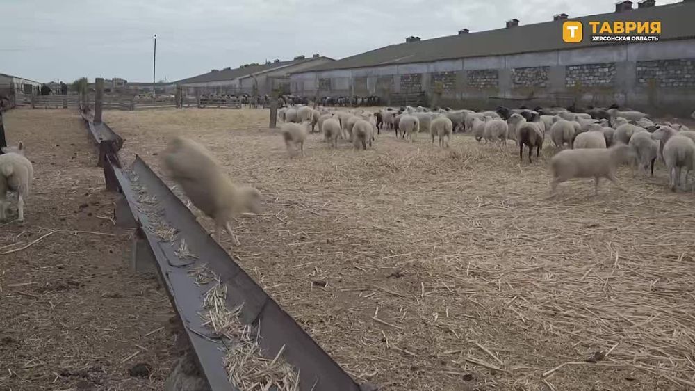 ���������� ������� ������� ��������� � �������� "������"